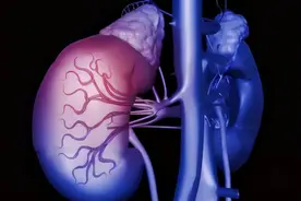 男性晨起“第一次”上厕所，若无4种异常，肾功能或还不错图片