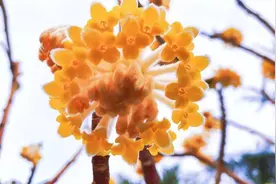 心中有自己，心中不能只有自己图片