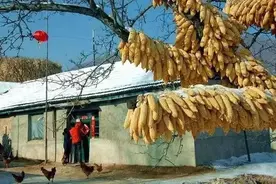 东北农村现状图片