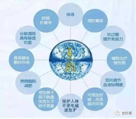 食叶草氨基酸多肽精蛋白与大健康产业