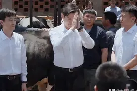 县委大院原型是谁？为什么在合肥拍？是不是意有所指？图片