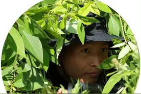 稳！准！狠！看恩施公安狙击手如何练就“一枪毙敌”图片