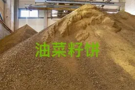 没有发酵的油菜饼可以给自已种植的蔬菜，作物施肥吗？图片