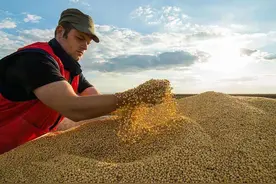 4家外企掌控全球80%粮食，中企花1亿去乌克兰种地，资产已达73亿图片