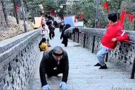 最新后续！五台山小狗因祸得福被领养，踢狗者身份被扒，细节流出图片