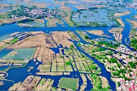 白洋淀：华北平原最大的淡水湖，曾一度干涸现要靠引黄河水续命？图片