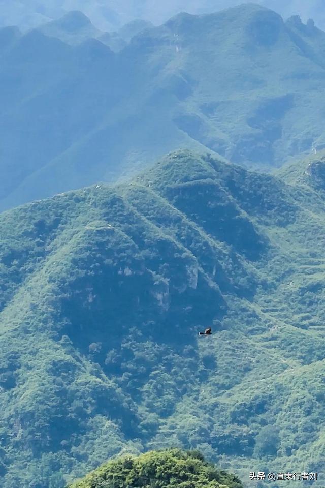 朋友携家人开车四小时去山西悬空寺却败兴而归，于是带他们来这儿