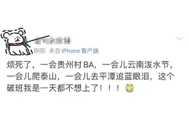 打工人想骂的街，都在山东潍坊的风筝上发疯图片