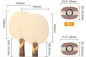 打长胶的底板推荐，哪些底板适合打长胶？打长胶用什么底板？图片