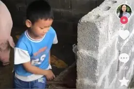 留守儿童排队摆拍喂猪，不知该哭该笑图片