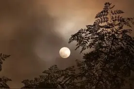 小孩掉进粪池，她见死不救，捞出来是自己儿子，一年后她成了疯子图片