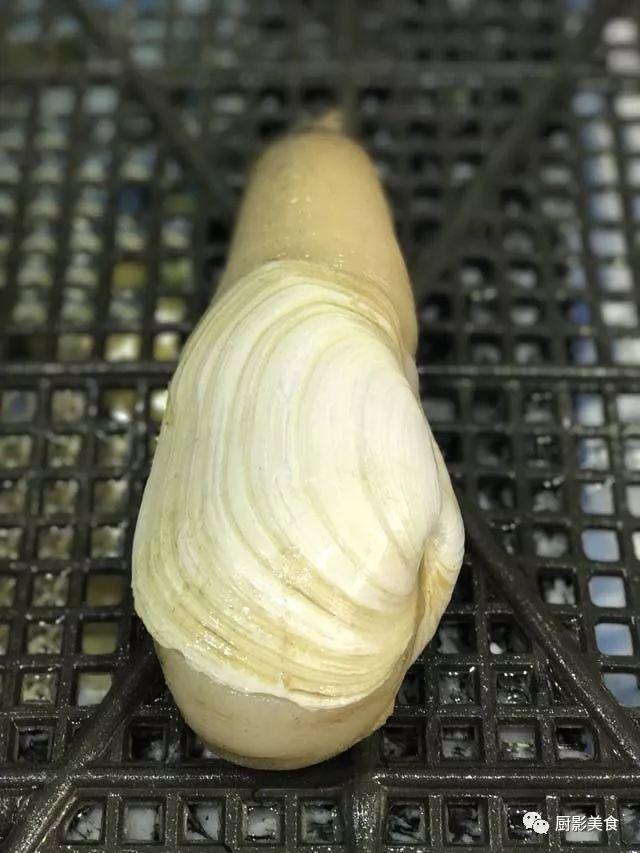 40头的花胶是几级 2025年花胶40头是什么意思?