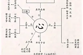 关于五脏的理论，建议大家了解一下，知道各脏腑的工作特点图片