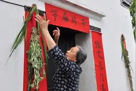端午节将至，农村挂艾草“三长两短”啥意思？艾草何时收割为最佳图片