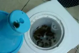 桶装水里泡蜈蚣，你敢喝吗？图片