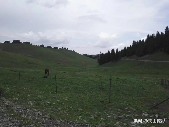 一万泉美景