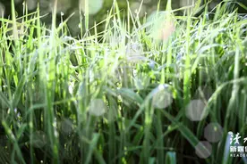 微信上从来不发朋友圈，不是低调，十有八九是这4种人图片