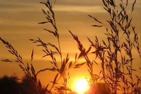 走过的路，遇见的人，十首怀旧的诗词，怀念曾经的美好时光图片