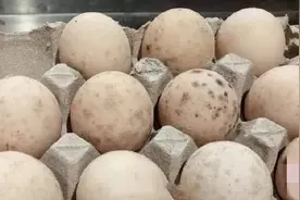 鸡蛋如果出现这几种情况，就别吃了图片
