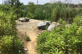 江苏镇江城郊的一处墓葬，显示主人身前地位显赫，命运坎坷图片