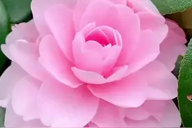 相遇是天意，珍惜是人为；懂得珍惜的人，才配拥有图片