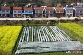 新土地管理法最伟大的规定之三：征收宅基地补偿图片