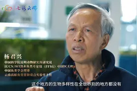 COP15七彩交响 | 从濒危到恢复，一条鱼的回归……图片