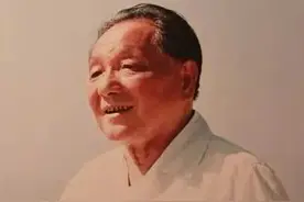 又想起黑猫与白猫图片