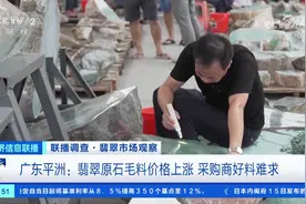 桂城平洲翡翠行情俏，日均流水超亿元！央视七分半钟深度观察图片