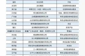 最新民营企业500强，阿里第二腾讯第六，各省民企一哥你了解吗？图片