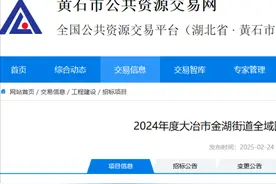 投资约15亿元！黄石这里将大变样！图片