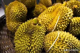一棵榴莲树，一年结几百个榴莲，为啥还卖那么贵？5个原因太扎心图片