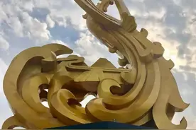 凤凰山中觅锦鸡图片