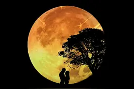 “爱情中的自我价值：男女朋友之间，不要过度卑微！”图片