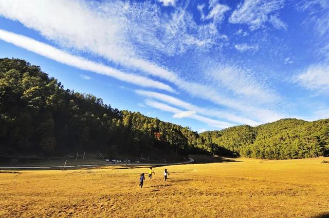 云龙，太宝藏了！