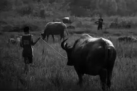 1989年放牛娃山上捡到800块，拿给大人看后，政府连夜出动武警图片