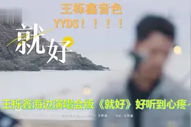 好听得让人心疼，王栎鑫海边演唱会版《就好》音色YYDS图片