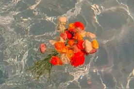 讽刺性极强的反emo文案图片