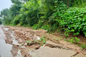 农场道路升级！全面加宽加固，杜绝豆腐渣工程！需要老百姓买单吗图片