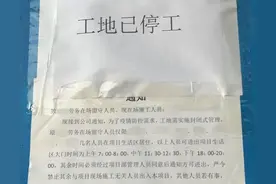 实地集团佛山紫藤公馆已停工图片