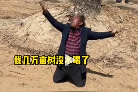一个花了20多年和砸了一千多万种树的治沙人，如今却在跪地磕头图片