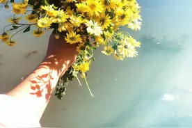 重庆市2022-2023学年高三上学期第一次月考语文试题及答案图片