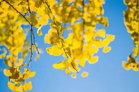 《史记》中最精妙的一篇文章，贡献三句经典名言，影响世人两千年！图片