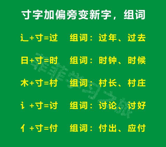 一年级偏旁部首寸字旁，一年级寸字旁的汉字，寸字旁考试知识点