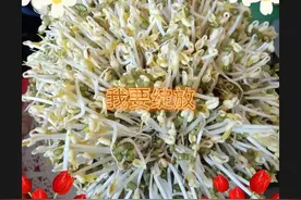 陈年绿豆不浪费图片