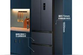 双11买什么样的冰箱？这几款冰箱容量超过300L，都是一级能效图片