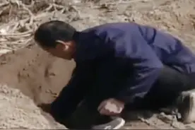 陕西农民盖房挖出“地下银行”,半吨古钱市值上亿,专家:统统上交图片