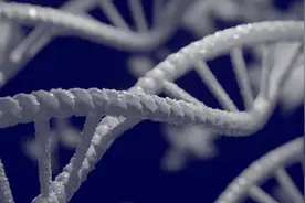 体内有3人DNA、线粒体捐赠治疗……英国首批三亲婴儿诞生图片