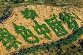 凭什么万亩林场不算公益？当韭菜是不是活该？图片