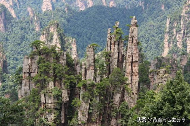 湖南旅游攻略景点必去(张家界大峡谷景点介绍)